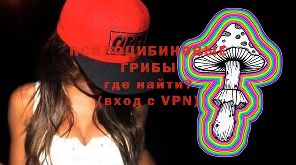 мдпв Алзамай