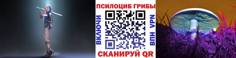 Псилоцибиновые грибы прущие грибы Лабинск